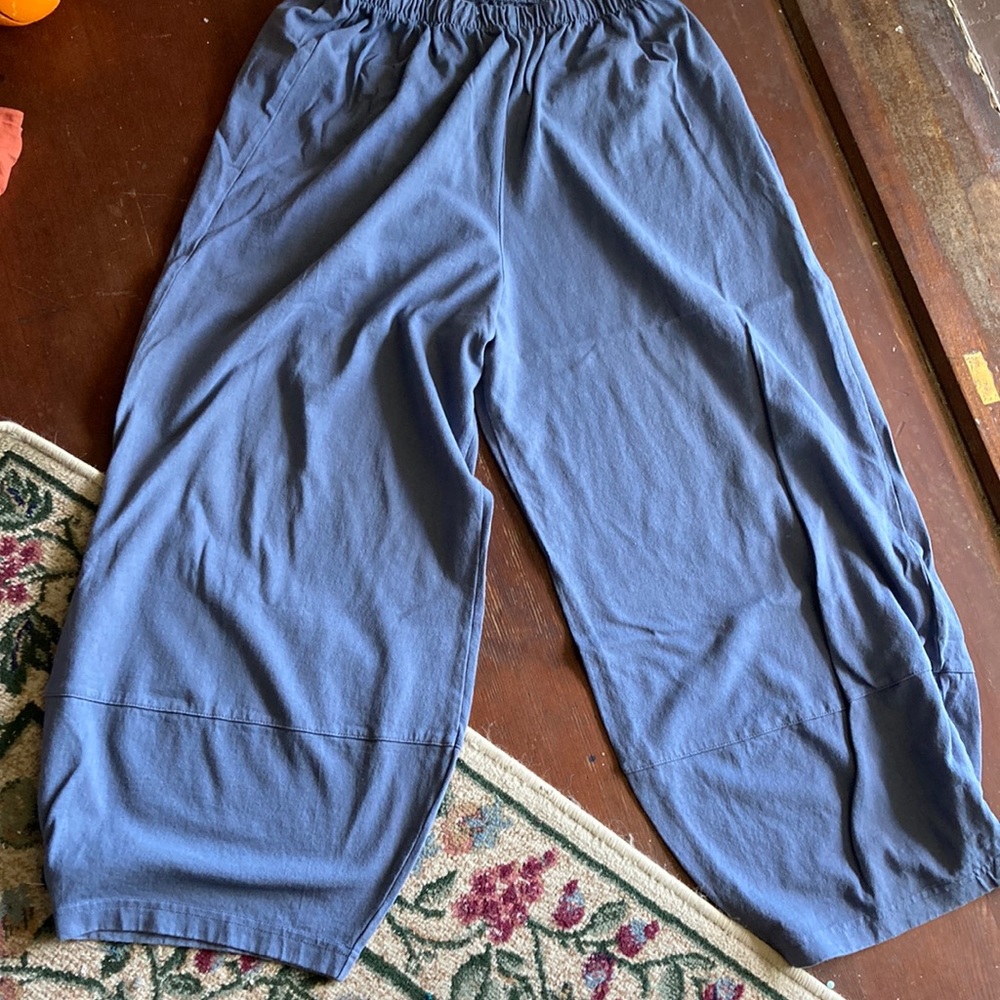 Blue wide pants